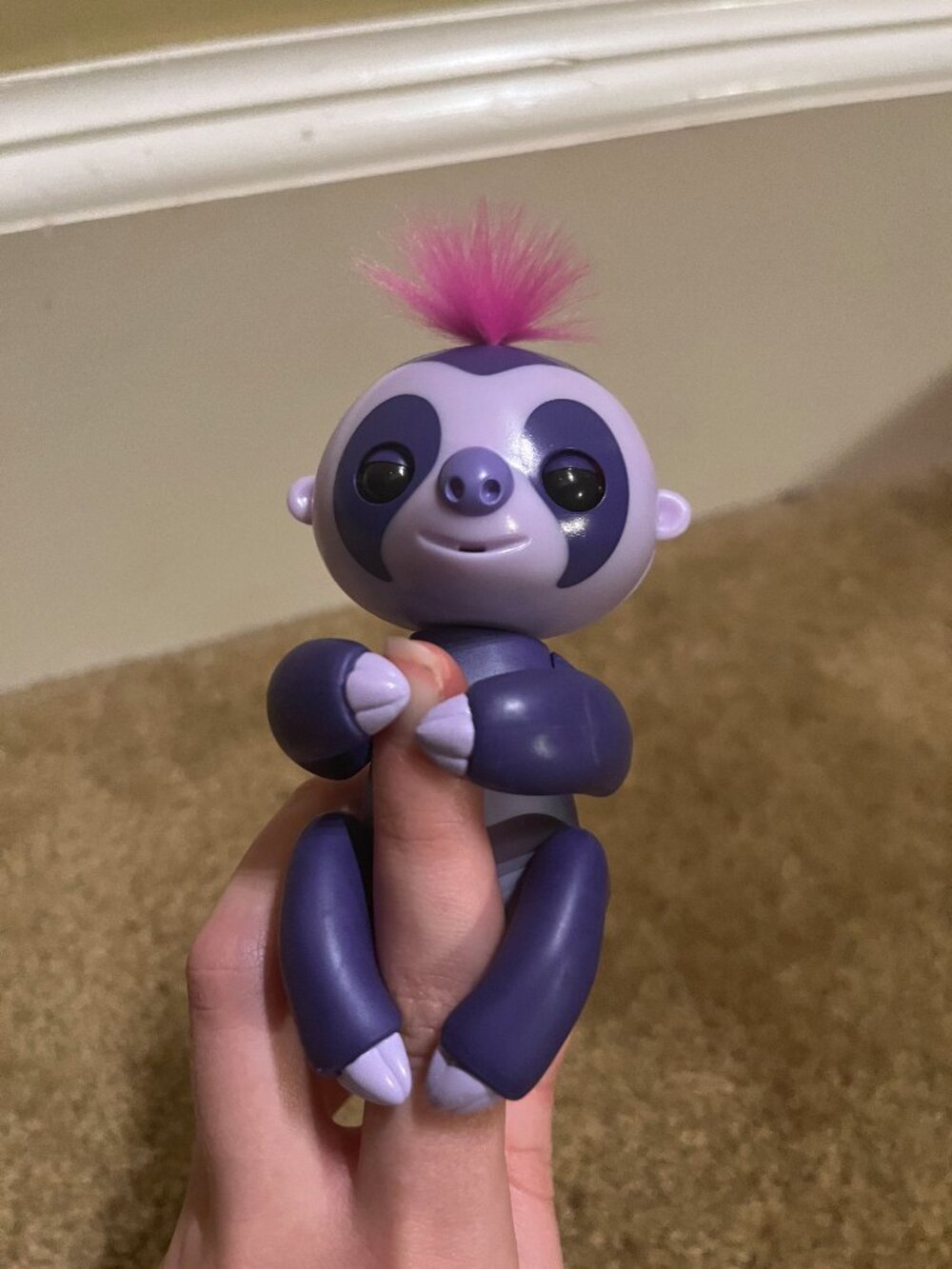 Fingerling Sloth